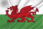 Vlag Wales - 100x150cm Spun-Poly